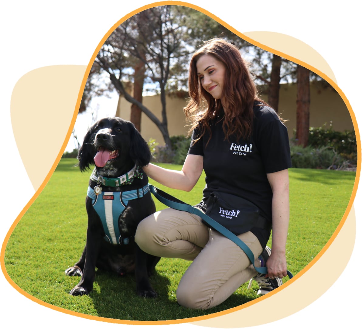 Pet Sitter in Lexington Hills, CA